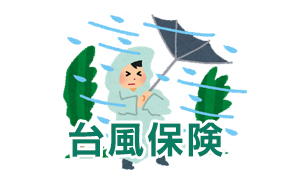 台風保険